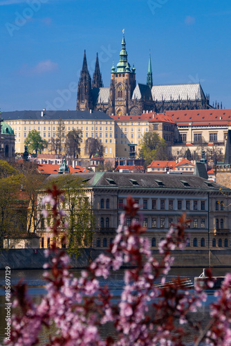Prague Castle and Vltava River with spring blossoms, Czech Republic