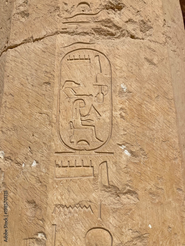 egipto jeroglífico escritura del antiguo egipto  labrada en la pared de una tumba el cairo IMG_0802-as26