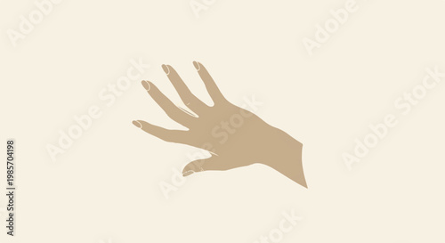 A minimalist beige hand with manicured nails reaching upwards