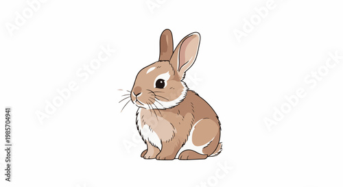 A fluffy brown rabbit with large ears and a white chest