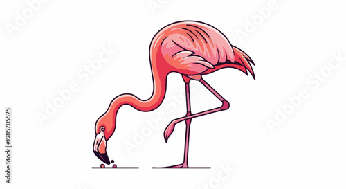 A pink flamingo with its head down, pecking at small objects on a white background