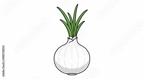 A simple drawing of a white onion with green sprouts