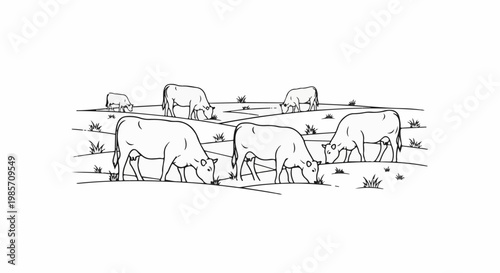 A herd of cows grazing peacefully in a grassy field under a bright sun