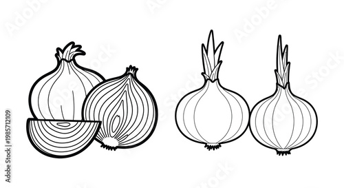 Four onions in a line drawing showcasing distinct forms silhouette