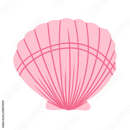 Sea shell isolated on white background vector.