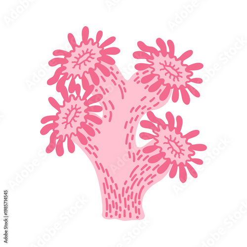 Isolated vector image of an underwater plant, wildlife, and biodiversity. Marine and underwater life, seaweed and washed-up plants, marine flora.