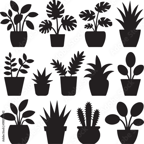 House plants silhouettes