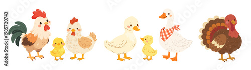 Set of flat vector illustrations on white background. Domestic birds with their children. Goose duck hen and rooster. Farm turkey character