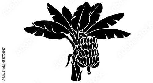 Pineapple Fruit Illustration Design.