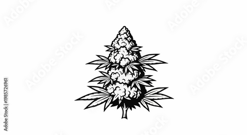 Stylized black and white illustration of a cannabis plant bud