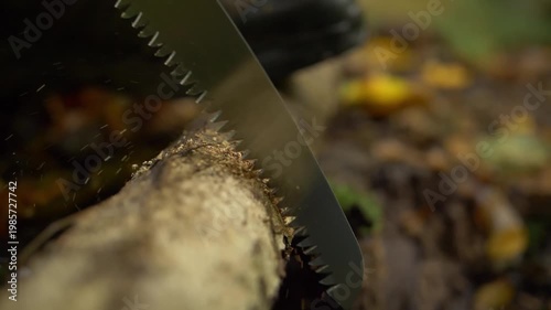 Manual saw cutting through wood in slow motion during outdoor work