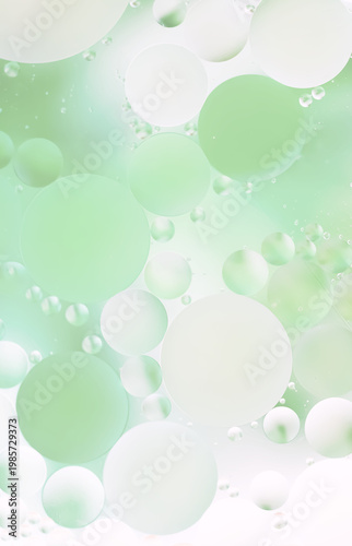 Abstract macro texture with translucent green and white circles, transparent background, smooth gradients, top view, banner format.
