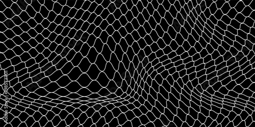 Fishing or soccer net. Repeated hexagon pattern. Black wired mesh texture isolated on white background.ilustrasion modern.