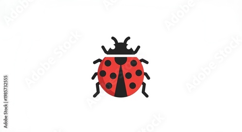 Colorful cartoon ladybug illustration on white background