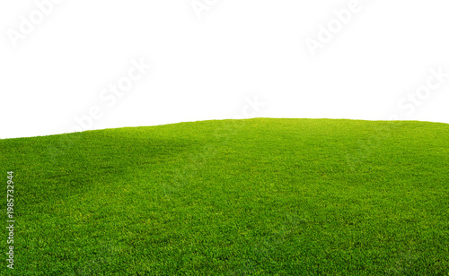 Green grass texture field isolated on white background