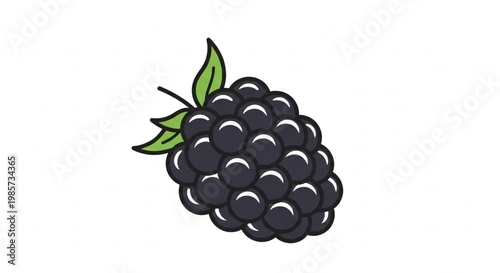 Fresh and Juicy Blackberry Illustration on White Background
