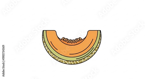 Fresh and Juicy Melon Slice on White Background for Healthy Eating