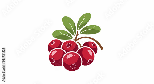 A cluster of vibrant red berries with green leaves on a branch