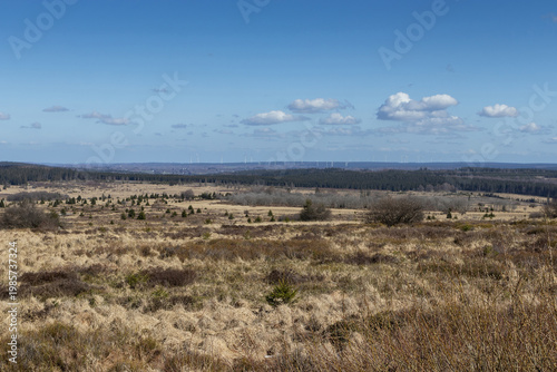 Panoramic early spring view of the High Fens hiking area of East Belgium, from the scenic viewpoint at Signal de Botrange, Waimes, Belgium. Copy space above.