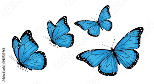 Set of vector blue butterflies flying isolated on a white background.
