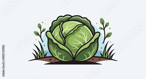 A vibrant illustration of a fresh cabbage growing in fertile soil