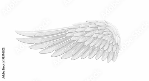 A solitary, detailed white wing, rendered in smooth gradients, evokes ethereal grace