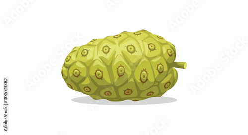 A single, light green, spiky fruit with brown circular markings rests on a white background