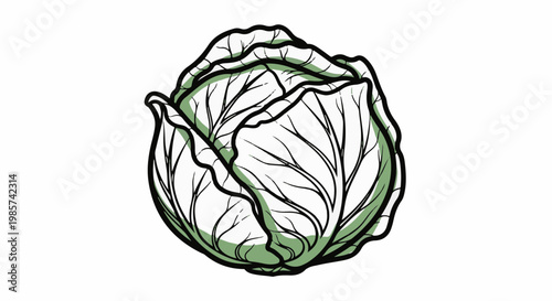 A stylized illustration of a green cabbage with thick black outlines