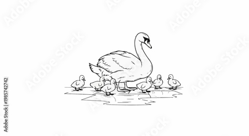 A stylized black and white drawing of a swan with its young cygnets on the water