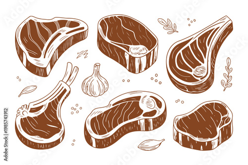 Various cuts of raw meat with spices, brown color, hand drawn illustration, simple style.