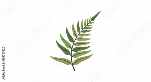 A stylized illustration of a single green fern frond, isolated on white