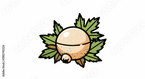 A stylized illustration of a single macadamia nut surrounded by green leaves