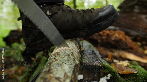Camper sawing a small tree branch in a forest during outdoor bushcraft activity