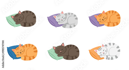 Set of six vector illustrations of domestic tabby cats sleeping on colorful pillows. The collection features grey, orange, and brown cats curled up in a resting position on a white background.
