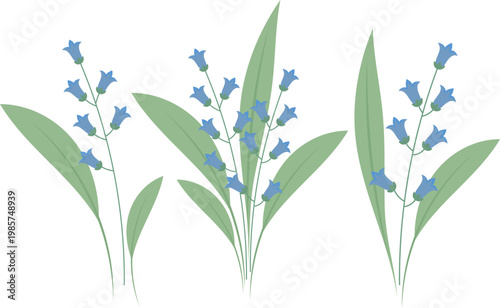 Set of Bell flowers. Vector flowers.