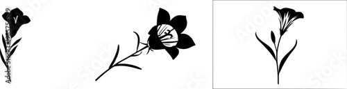 A solitary blue Gentian bloom stands alone against a pristine white backdrop, its intricate central structure and trumpet-like shape highlighted by the absence of any other elements in sight