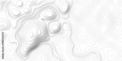 Minimal relief topography map area wallpaper. vector topo paper lines. Topographic contour lines grid map pattern. Geographic hiking mountain art dynamic design.