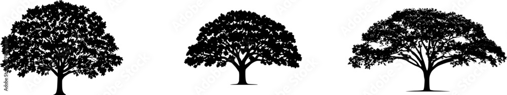 Fototapeta premium A solitary Pecan tree stands majestically on a pure white background, its symmetrical canopy of elongated green leaves illuminated by bright studio lighting in an 8k ultra-sharp image with