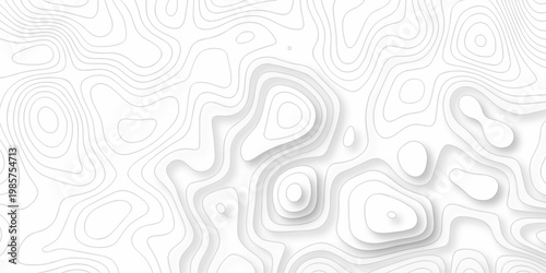 Minimal relief topography map area wallpaper. vector topo paper lines. Topographic contour lines grid map pattern. Geographic hiking mountain art dynamic design.