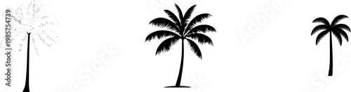 A solitary Royal Palm tree stands gracefully on a pristine white background, its smooth, concrete-like trunk and vibrant green fronds captured in stunning detail with high resolution and natural