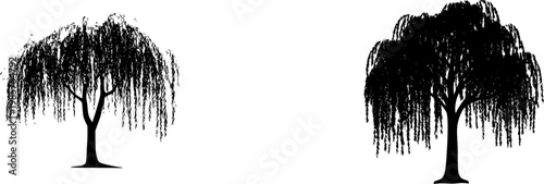 A solitary Weeping Willow tree stands gracefully against a pristine white backdrop, its cascading branches adorned with delicate leaves illuminated by bright studio lighting in an 8k ultra-sharp