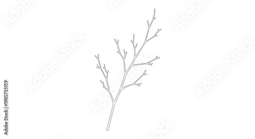 Dried dead tree branch detail.