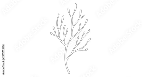 Bilde på lerret Detailed illustration of coral branch.