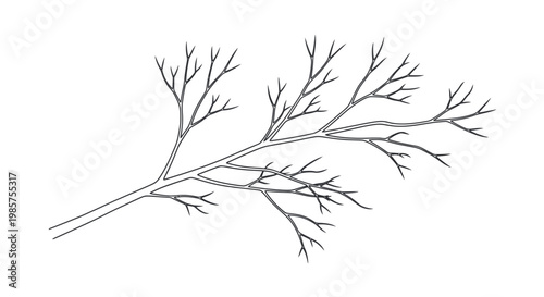 Detailed illustration of a tree branch.