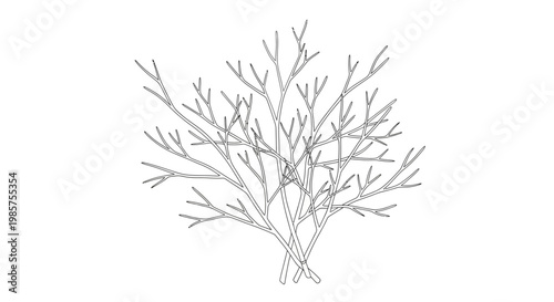 Detailed illustration of bare tree branches.