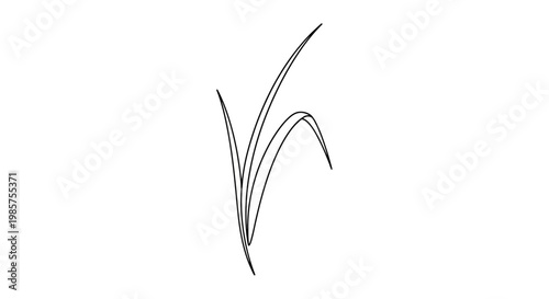 False eyelash extensions on eye.