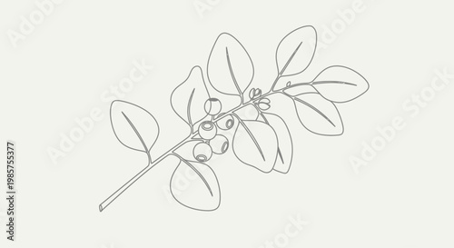 Detailed illustration of a flower branch.