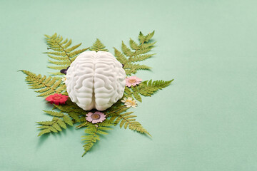 Mental Health Awareness Month. Brain model resting on fern leaves and dried flowers
