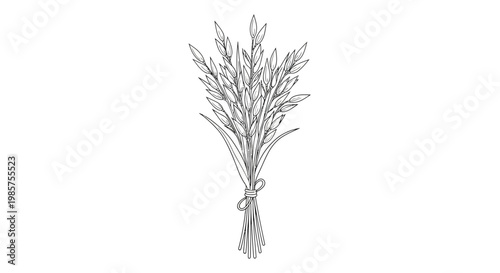 Dried Herbs Tied in Bunch.