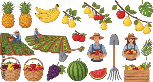 Vector illustration set of organic farming elements featuring farmers harvesting fresh fruits like apples, pears, pineapples, and grapes in a garden.